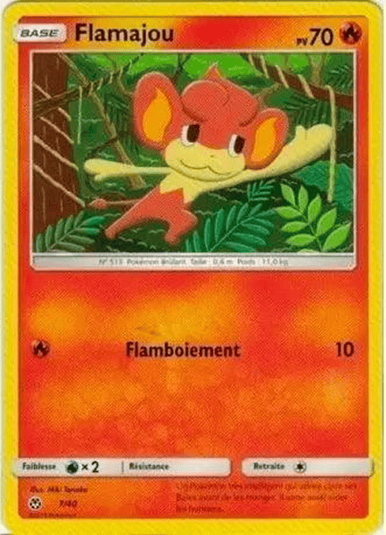 Flamajou 7