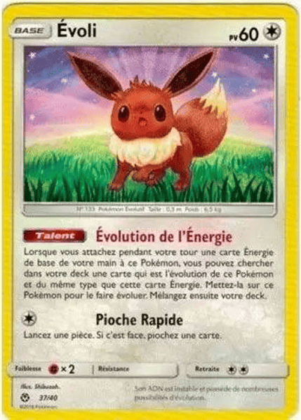 Évoli 37