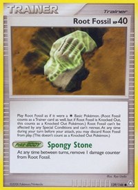 Fossile racine 139