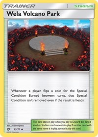 Parc Volcanique 63
