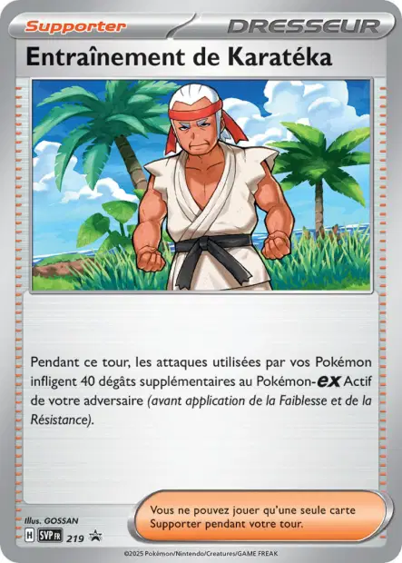 Entraînement de Karatéka 219