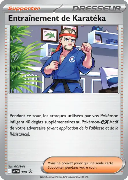 Entraînement de Karatéka 220